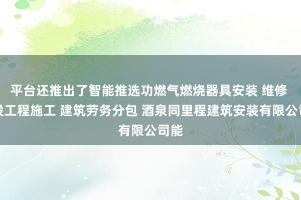 平台还推出了智能推选功燃气燃烧器具安装 维修 建设工程施工 建筑劳务分包 酒泉同里程建筑安装有限公司能